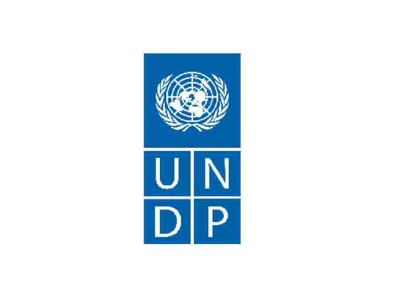 Partner Logo
